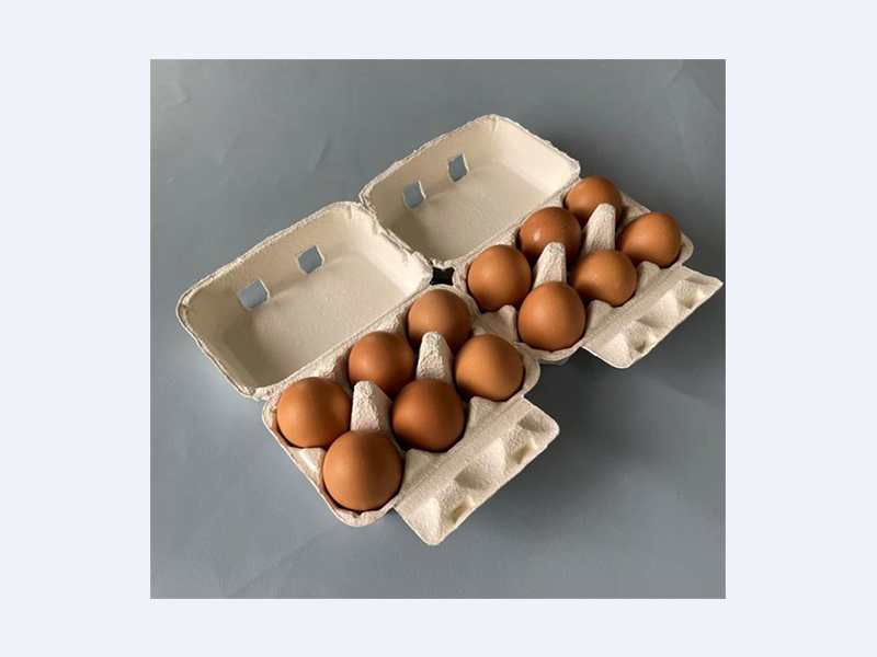 白色紙漿蛋盒